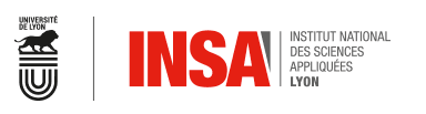 INSA Lyon